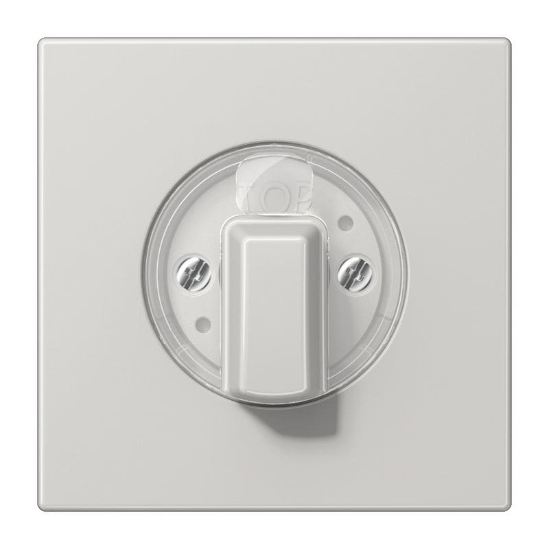 Jung - Enjoliveur pour interrupteur rotatif / LS 990 Gris clair