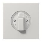 Jung - Enjoliveur pour interrupteur rotatif / LS 990 Gris clair