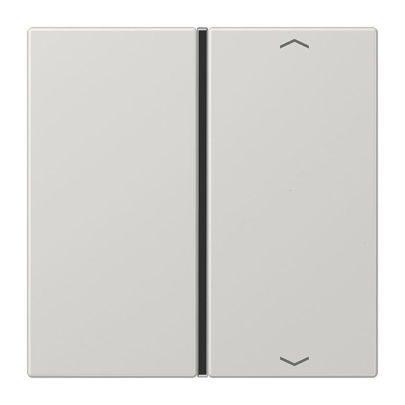 Jung - Touche 1 voie avec flèches platine F40 / LS 990 Gris clair