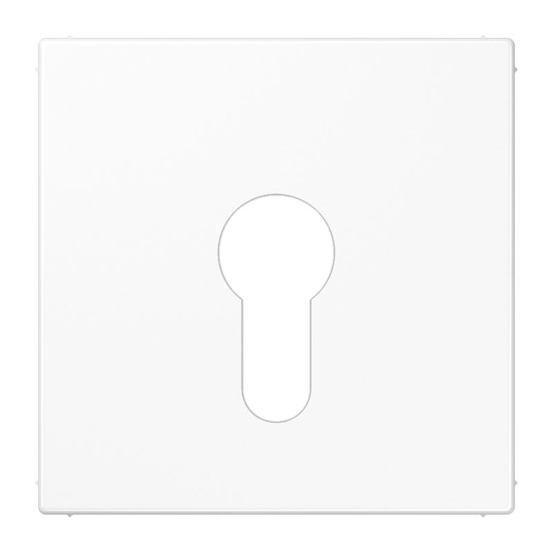 Jung - Enjoliveur pour IN et BP à clé version plate / LS 990 Blanc