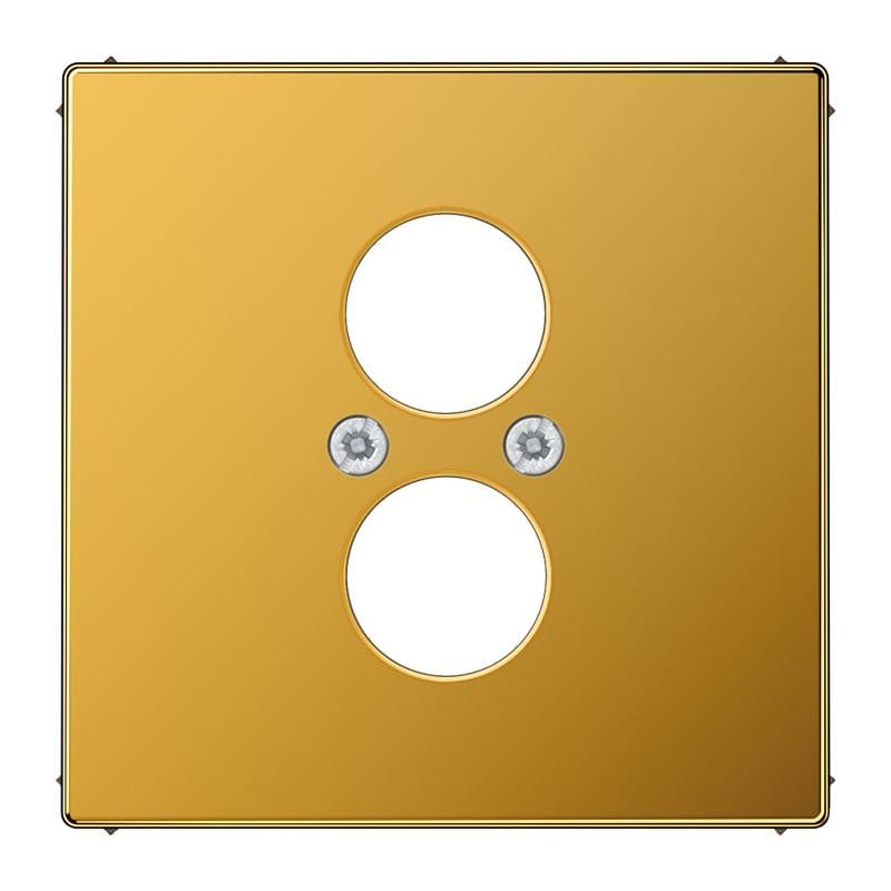 Jung - Enjoliveur de finition pour 2 connecteurs mini fiches / LS 990 Or