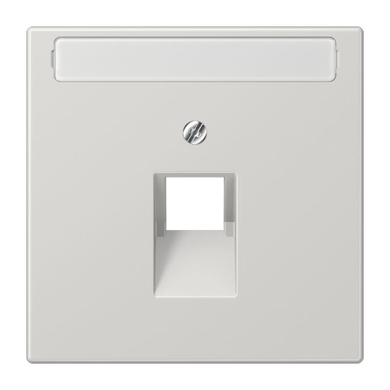 Jung - Enjoliveur pour prise IAE/UAE / LS 990 Gris clair