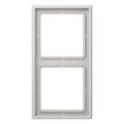 Jung - Cadre 2 postes / LS 990 Gris clair