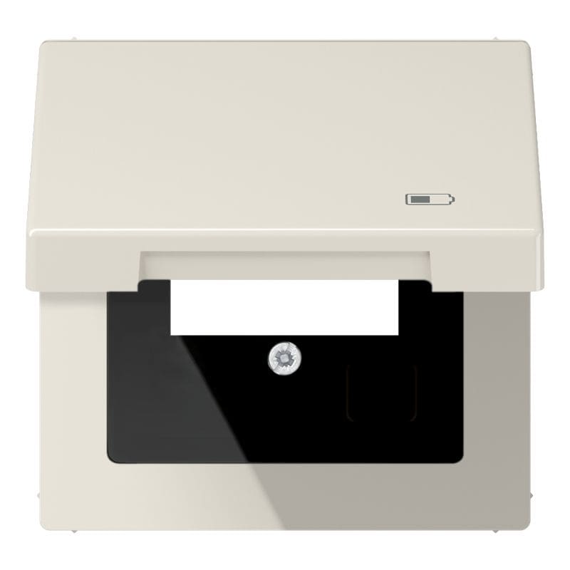Jung - Enjoliveur couvercle symbole USB / LS 990 Ivoire