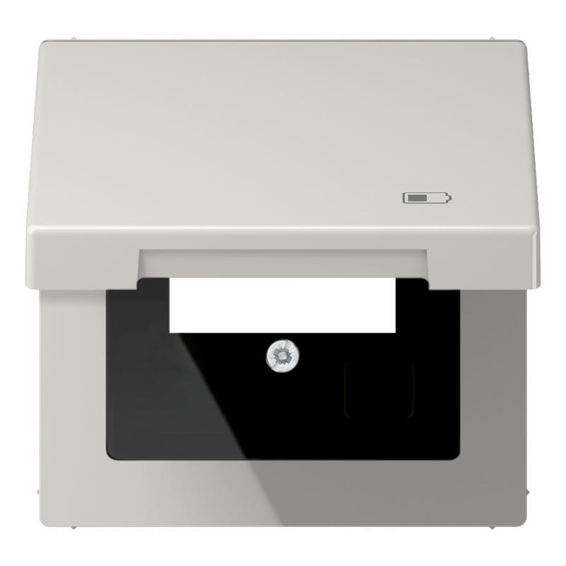 Jung - Enjoliveur couvercle symbole USB / LS 990 Gris clair