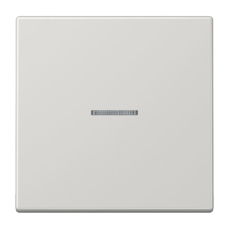 Jung - Enjo simple touche à voyant / LS 990 Gris clair