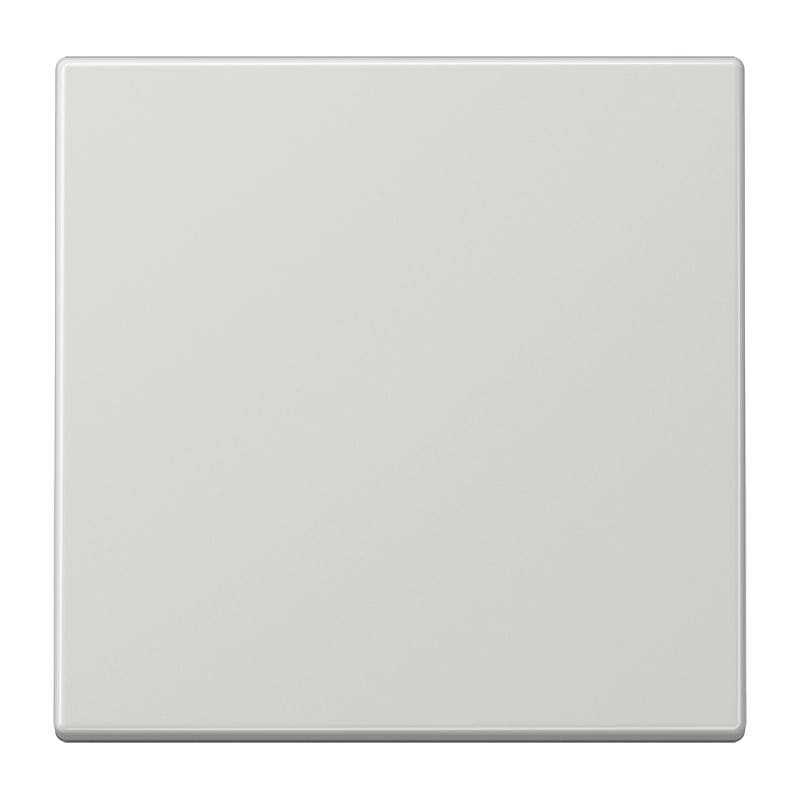 Jung - Enjoliveur simple touche / LS 990 Gris clair