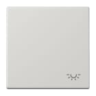 Jung - Enjo avec symbole "lumière" / LS 990 Gris clair