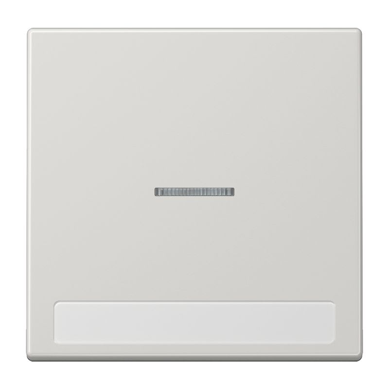 Jung - Enjoliveur simple touche porte étiquette & témoin / LS 990 Gris clair