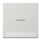 Jung - Enjoliveur simple touche porte étiquette & témoin / LS 990 Gris clair