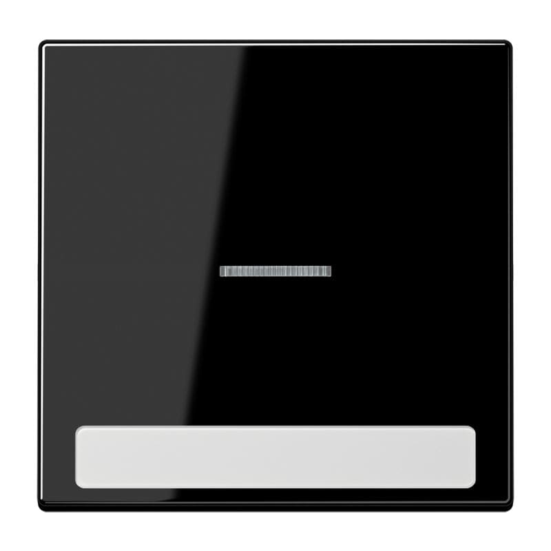 Jung - Enjoliveur simple touche porte étiquette & témoin / LS 990 Noir