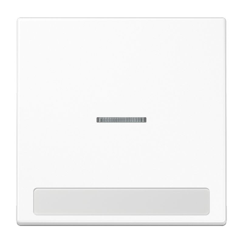 Jung - Enjoliveur simple touche porte étiquette & témoin / LS 990 Blanc