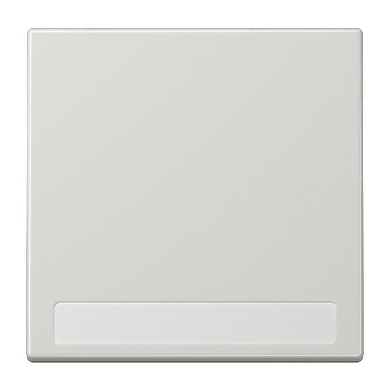 Jung - Enjoliveur simple touche porte étiquette / LS 990 Gris clair