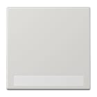 Jung - Enjoliveur simple touche porte étiquette / LS 990 Gris clair