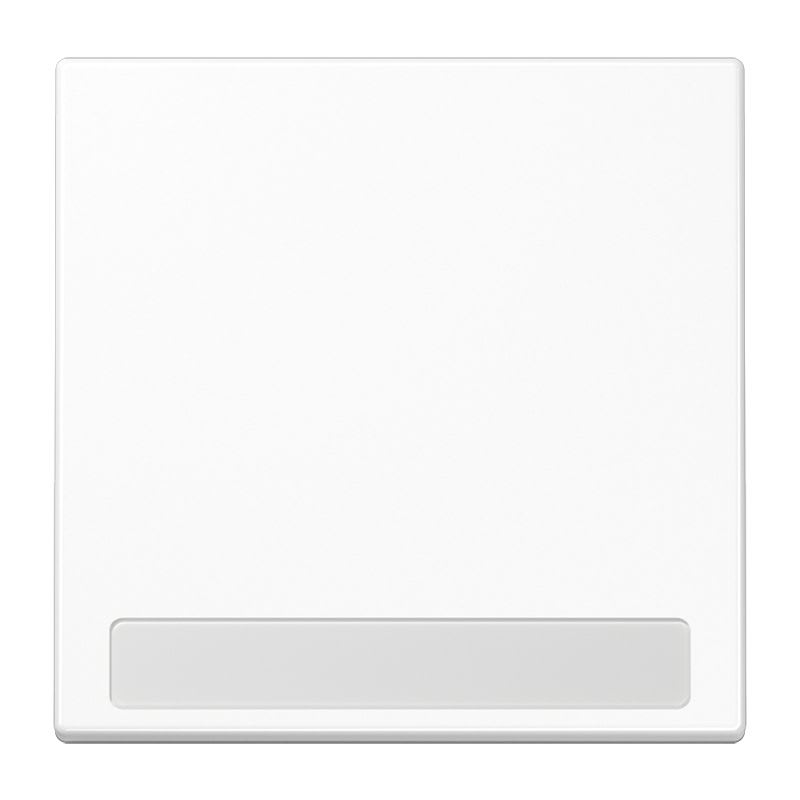 Jung - Enjoliveur simple touche porte étiquette / LS 990 Blanc