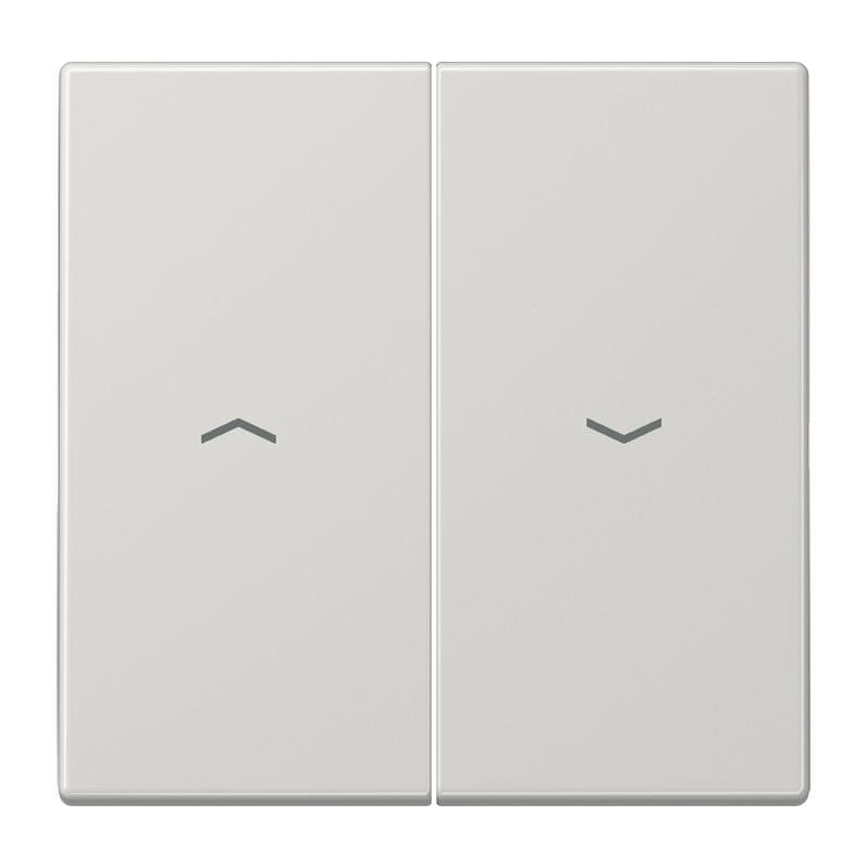 Jung - Enjoliveur double touche IN+BP VR-store / LS 990 Gris clair
