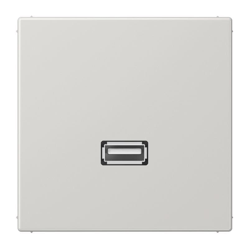 Jung - Connecteur Multimédia 1 x USB 2.0 / LS 990 Gris clair