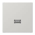 Jung - Connecteur Multimédia 1 x USB 2.0 / LS 990 Gris clair