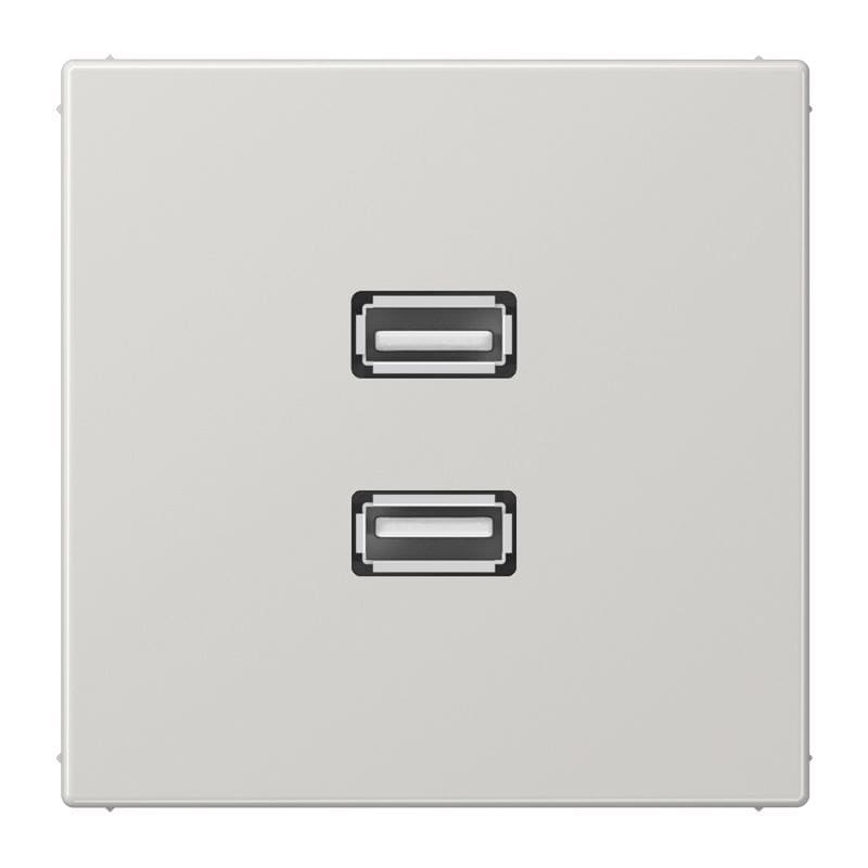 Jung - Connecteur Multimédia 2 x USB 2.0 / LS 990 Gris clair