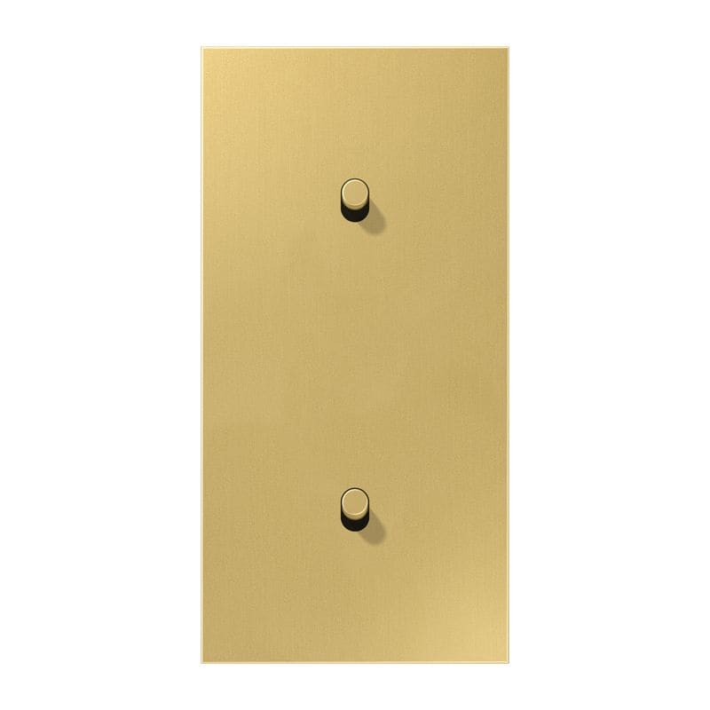 Jung - Enjoliveur 2 modules vertical avec 1+1  leviers Cylindre / LS 1912 Laiton doré