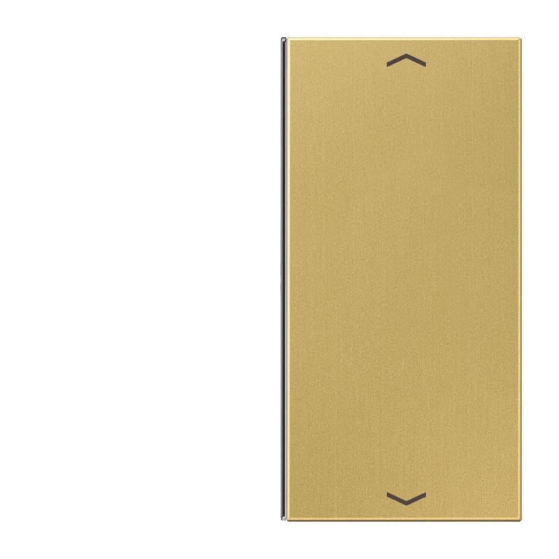 Jung - Touche 2 voies avec flèches pour platine F40 / LS 990 Laiton doré