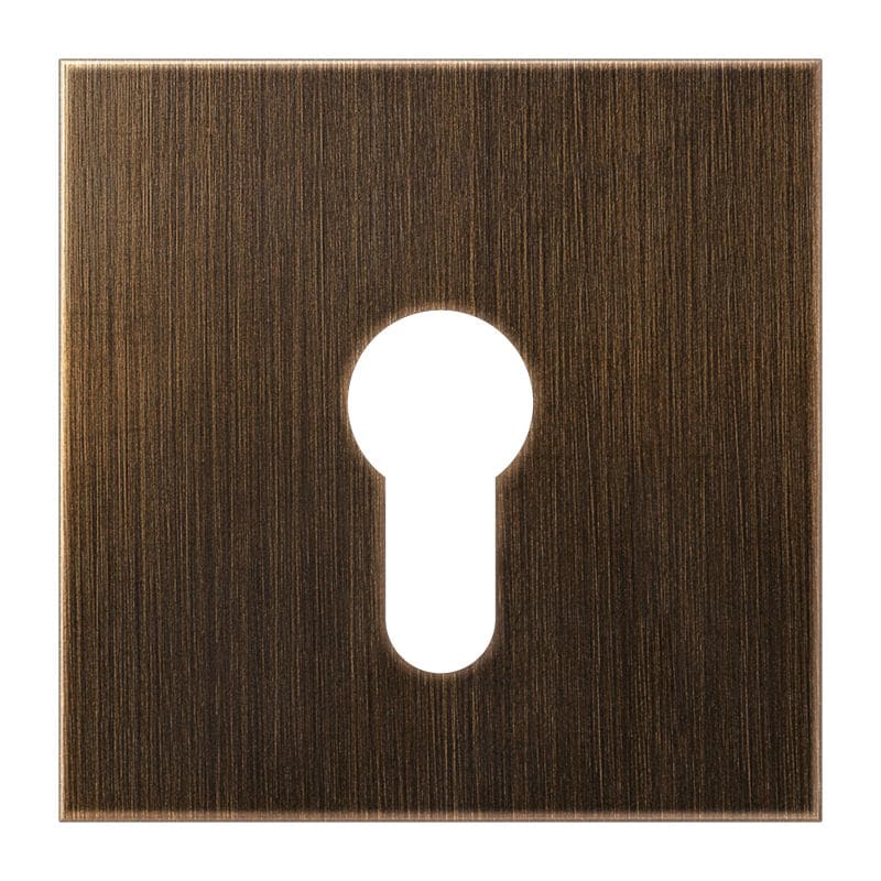 Jung - Enjoliveur pour interrupteur et bouton poussoir à clé plat / LS Laiton ancien