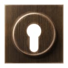 Jung - Enjoliveur pour interrupteur et bouton poussoir à clé haut / LS Laiton ancien