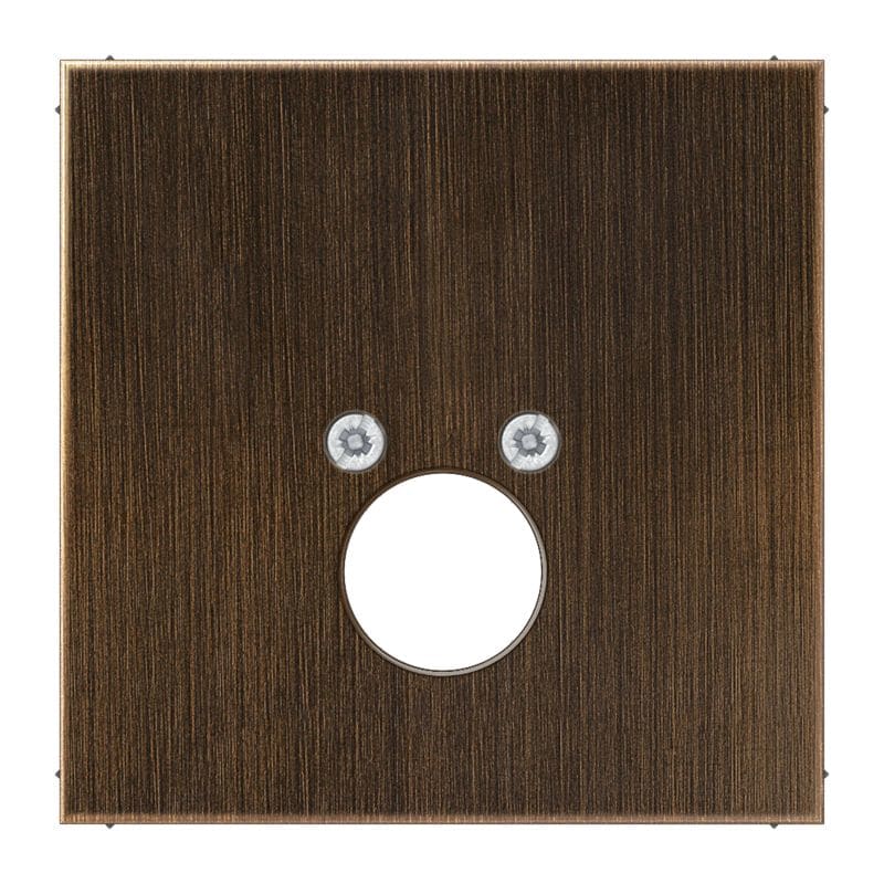 Jung - Enjoliveur pour 1 mini fiche 63WBT et LKP63RT/SW ou CIB63 / LS Laiton ancien