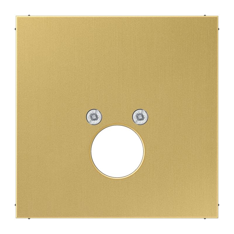Jung - Enjoliveur pour 1 mini fiche 63WBT et LKP63RT/SW ou CIB63 / LS Laiton doré