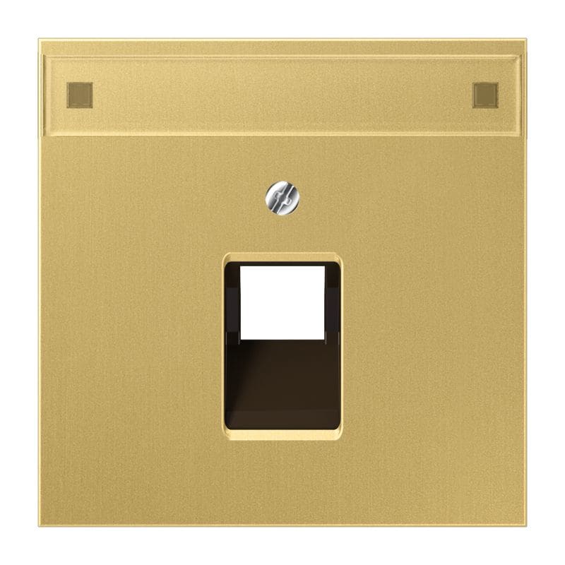 Jung - Enjoliveur pour prise RJ simple IAE/UAE avec PE / LS 990 Laiton doré