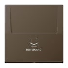 Jung - Enjoliveur Hotelcard pour mécanisme bouton poussoir / LS 990 Laiton ancien