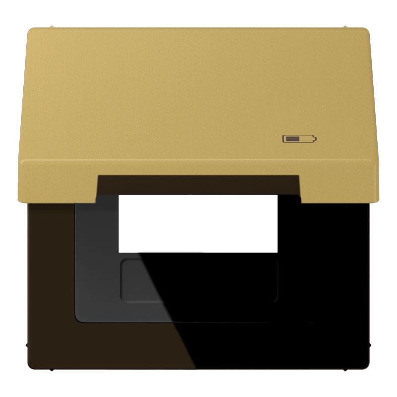 Jung - Enjoliveur couvercle symbole USB / LS 990 Laiton doré