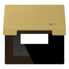 Jung - Enjoliveur couvercle symbole USB / LS 990 Laiton doré