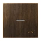 Jung - Enjoliveur avec symbole "gâche" à voyant / LS 990 Laiton ancien