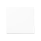 Jung - Enjo simple touche pour mécanisme BP-BCU F10 A10xxxST / A 500 Blanc