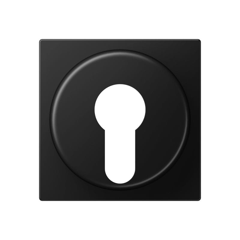 Jung - Enjoliveur interrupteur à Clé / A 500 noir mat