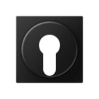 Jung - Enjoliveur interrupteur à Clé / A 500 noir mat
