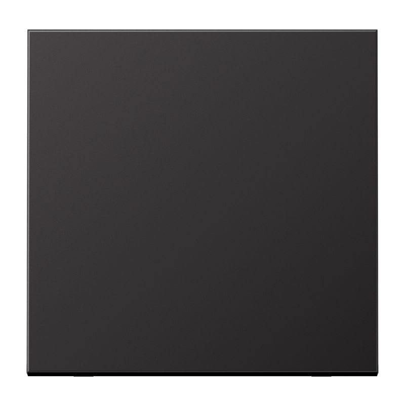 Jung - Enjo simple touche méc BP-BCU F10 LSCD10xxxST / LS 990 Dark (canon de fusil)