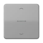 Jung - Enjo simple touche avec flèches et voyant méc BP-BCU LSCD10xxxST/ CD 500 Gris