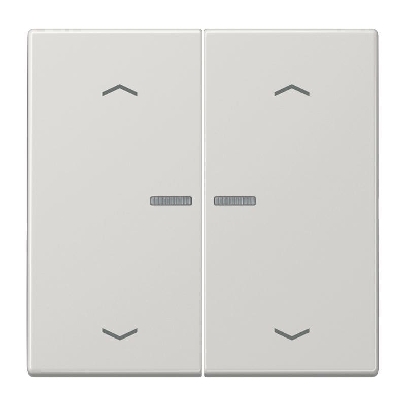 Jung - Enjo simple touche flèches et voyant méc BP-BCU LSCD10xxxST/ LS 990 Gris clair