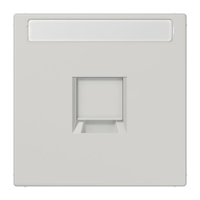 Jung - Enjo RJ 45 simple avec PE / LS 990 Gris clair pour Modular Jack