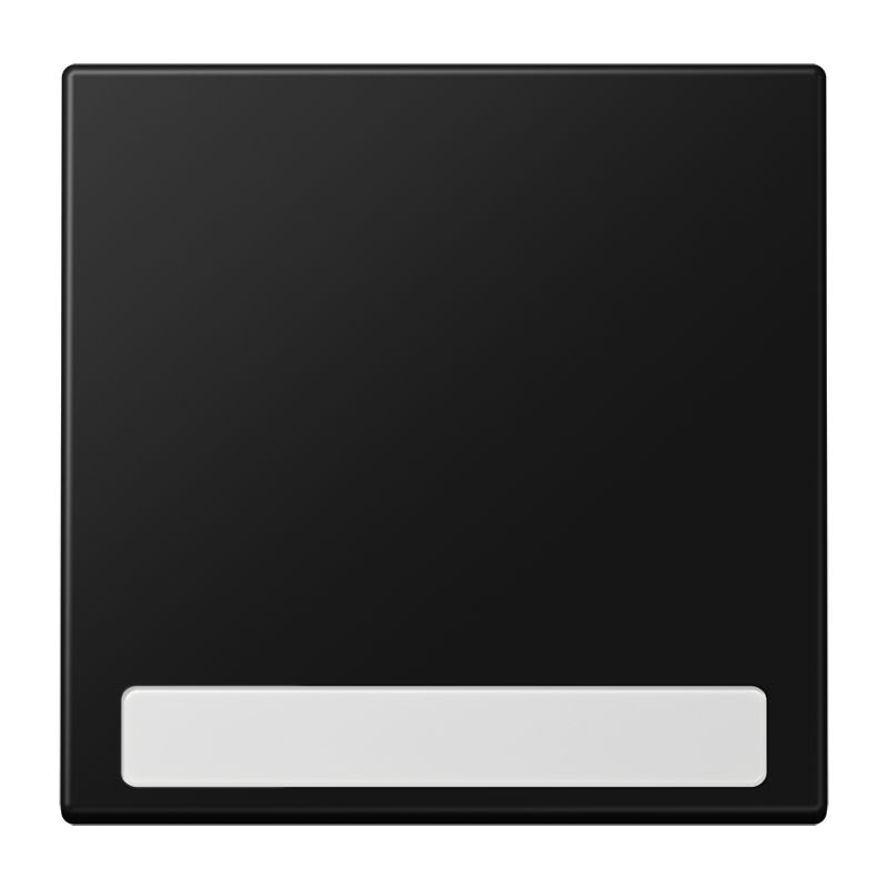 Jung - Enjoliveur simple doigt avec porte étiquette / LS 990 noir mat