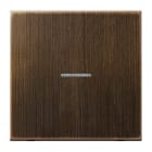 Jung - Enjo simple touche à voyant méc BP-BCU F10 LSCD10xxxST / LS 990 Laiton ancien