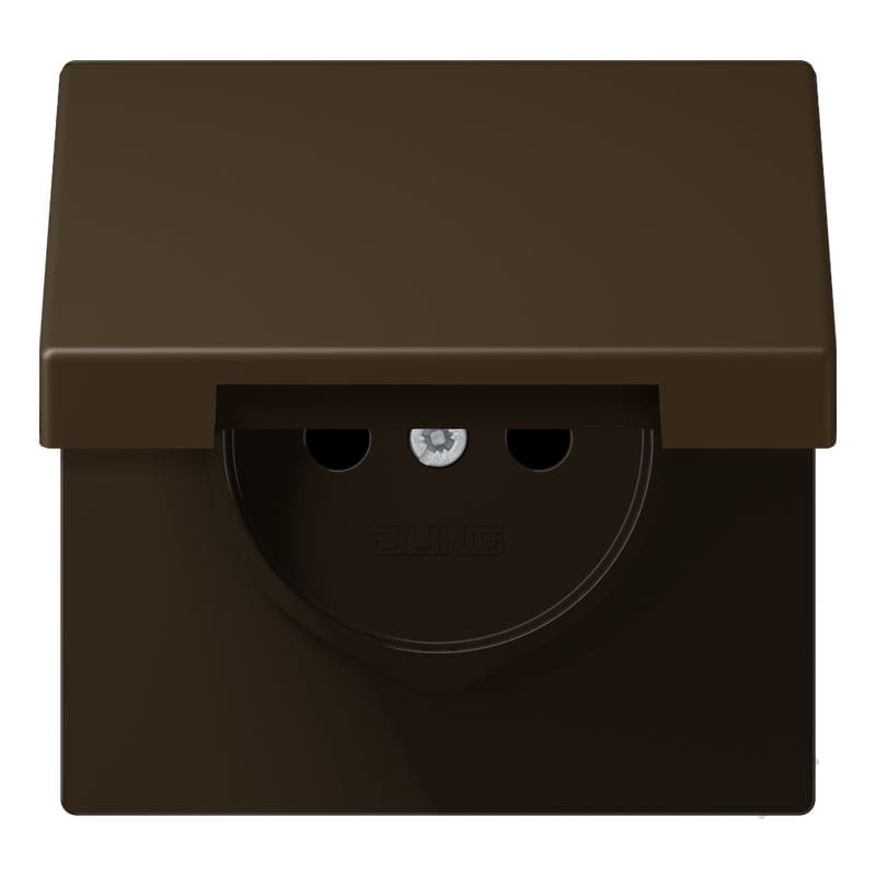 Jung - Enjo prise 2P+T avc couvercle / LS990 IP44 Laiton ancien
