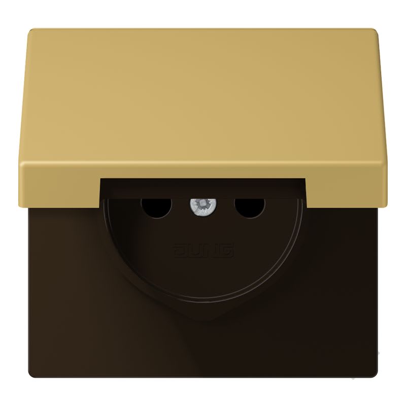 Jung - Enjo prise 2P+T avc couvercle / LS990 IP44 Laiton doré