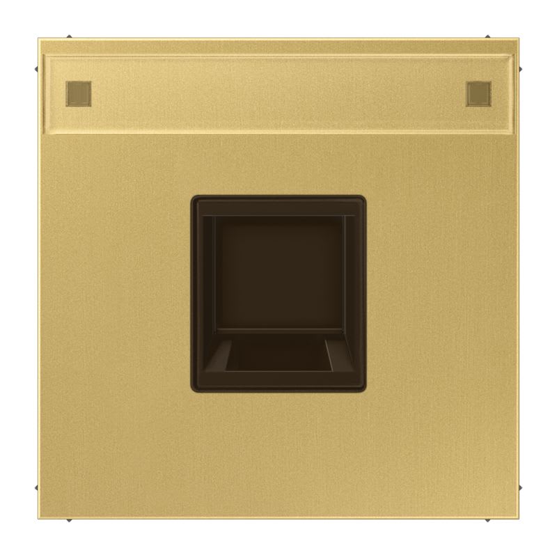 Jung - Enjo RJ 45 simple avec PE / LS 990 Laiton pour Modular Jack