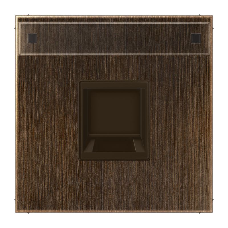 Jung - Enjo avec PE pour noyau Modulear-Jack / LS 990 Laiton ancien