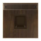 Jung - Enjo avec PE pour noyau Modulear-Jack / LS 990 Laiton ancien