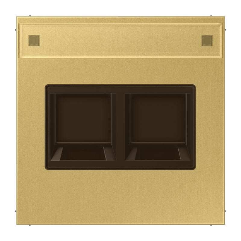 Jung - Enjo avec PE pour deux noyaux Modular Jack / LS 990 Laiton