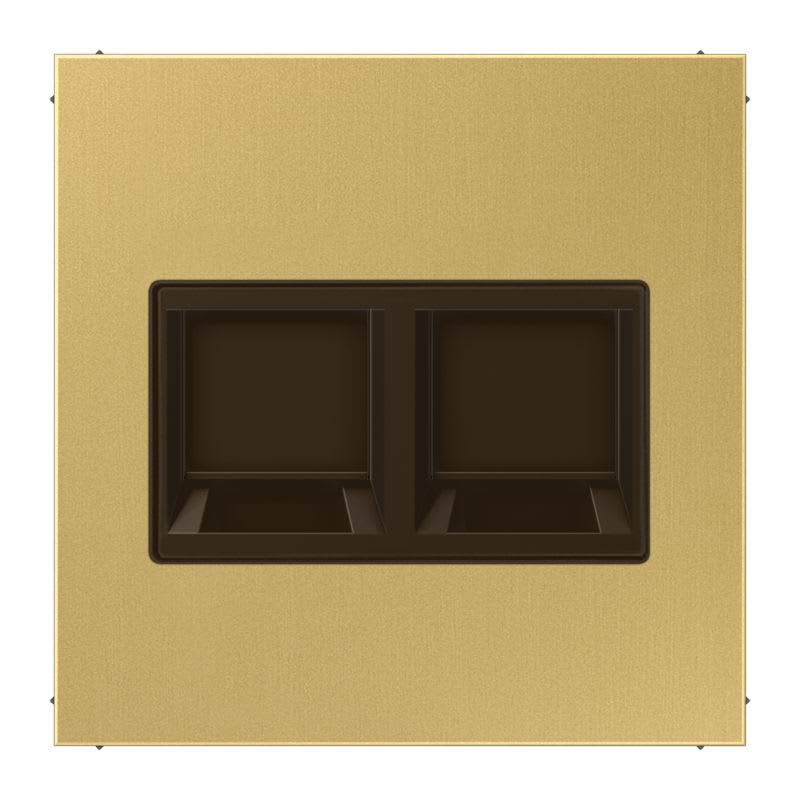 Jung - Enjo pour deux noyaux Modular Jack / LS 990 Laiton